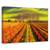 Tablou Canvas - Cultivarea Vitei De Vie, Marime: 40 x 60 cm - - Roveli