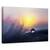 Tablou Canvas - Dimineata, Marime: 40 x 60 cm - - Roveli