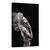 Tablou Canvas - Indianca Fragila, Marime: 40 x 60 cm - - Roveli