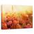 Tablou Canvas - Lathmar Holi, Marime: 40 x 60 cm - - Roveli