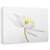 Tablou Canvas - Nemorosa, Marime: 40 x 60 cm - - Roveli