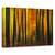 Tablou Canvas - Venirea Toamnei, Marime: 40 x 60 cm - - Roveli