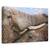 Tablou Canvas - Addo Dragoste, Marime: 40 x 60 cm - - Roveli