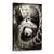 Tablou Canvas - Carpe Diem, Marime: 40 x 60 cm - - Roveli