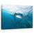 Tablou Canvas - Comuniune, Marime: 40 x 60 cm - - Roveli