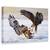 Tablou Canvas - Duel, Marime: 40 x 60 cm - - Roveli