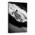 Tablou Canvas - Echitatie, Marime: 40 x 60 cm - - Roveli