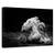 Tablou Canvas - In Miscare, Marime: 40 x 60 cm - - Roveli