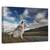 Tablou Canvas - Moment In Timp, Marime: 40 x 60 cm - - Roveli