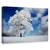 Tablou Canvas - Promoroaca In Padurea Neagra, Marime: 40 x 60 cm - - Roveli