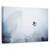 Tablou Canvas - Stralucirea Eterna A Mintii, Marime: 40 x 60 cm - - Roveli