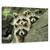 Tablou Canvas - Tres Banditos, Marime: 40 x 60 cm - - Roveli