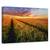 Tablou Canvas - Undeva La Apus, Marime: 40 x 60 cm - - Roveli
