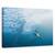 Tablou Canvas - Vanator Si Vanat, Marime: 40 x 60 cm - - Roveli