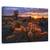 Tablou Canvas - Gradina Cholla, Marime: 80 x 120 cm - - Roveli