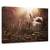 Tablou Canvas - Marele Covfefe, Marime: 80 x 120 cm - - Roveli