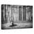Tablou Canvas - Violoncelistul, Marime: 80 x 120 cm - - Roveli