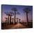 Tablou Canvas - Aleea Cu Baobabi, Marime: 80 x 120 cm - - Roveli