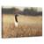 Tablou Canvas - Aripa Iluminata, Marime: 80 x 120 cm - - Roveli