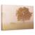 Tablou Canvas - Bizon European, Marime: 80 x 120 cm - - Roveli