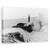 Tablou Canvas - Clipocire, Marime: 80 x 120 cm - - Roveli