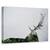 Tablou Canvas - Corn De Cerb, Marime: 80 x 120 cm - - Roveli