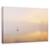 Tablou Canvas - Dimineata Cetoasa, Marime: 80 x 120 cm - - Roveli