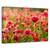 Tablou Canvas - Lumina Din Spate, Marime: 80 x 120 cm - - Roveli