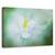 Tablou Canvas - Mistic, Marime: 80 x 120 cm - - Roveli