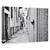 Tablou Canvas - Pet, Marime: 80 x 120 cm - - Roveli