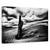 Tablou Canvas - Strigatul Pescarusului, Marime: 80 x 120 cm - - Roveli