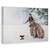 Tablou Canvas - Urs, Marime: 80 x 120 cm - - Roveli