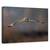 Tablou Canvas - Zbor Spre Mine, Marime: 80 x 120 cm - - Roveli