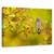 Tablou Canvas - Bufnita Europeana, Marime: 80 x 120 cm - - Roveli