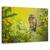 Tablou Canvas - Bufnita, Marime: 80 x 120 cm - - Roveli