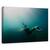 Tablou Canvas - Caderea Frumusetii, Marime: 80 x 120 cm - - Roveli