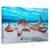 Tablou Canvas - Caracatita, Marime: 80 x 120 cm - - Roveli