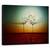Tablou Canvas - Foc si Apa, Natura Statica, Rosu, Bland, Marime: 40 x 50 cm - - Roveli