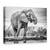 Tablou Canvas - In Picioare Mandru, Natura, Animal, Colt, Elefant, Monocrom, Marime: 60 x 80 cm - - Roveli