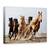 Tablou Canvas - Sasele Norocos, Cal, Actiune, Animale, Putere, Viteza, Marime: 60 x 80 cm - - Roveli