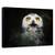 Tablou Canvas - Stele Galbene, Marime: 80 x 120 cm - - Roveli