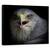 Tablou Canvas - Strigat De Razboi, Natura, Pasare, Vultur, Ochi, Agape, Cioc, Marime: 40 x 50 cm - - Roveli