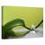Tablou canvas - Armonie verde, Natura moarta, Frunza, Verde, Reflectie, Marime: 40 x 60 cm - - Roveli