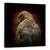 Tablou Canvas - Cineva Sa Se Uite La Mine, Ochi, Pasare, Savana Hawk, Marime: 60 x 60 cm - - Roveli