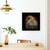 Tablou Canvas - Cineva Sa Se Uite La Mine, Ochi, Pasare, Savana Hawk, Marime: 60 x 60 cm - 4- Roveli