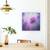Tablou Canvas - Ecstasy, Violet, Floare, Ecstasy, Flori, Flora, Marime: 60 x 60 cm - 4- Roveli
