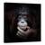 Tablou Canvas - Imaginea In Oglinda, Zambet, Maimuta, Fericit, Bucurie, Marime: 60 x 60 cm - - Roveli