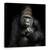 Tablou Canvas - Imho ...., Gorila, Grijuliu, Puternic, Contemplare, Ganditor, Marime: 60 x 60 cm - - Roveli