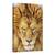 Tablou Canvas - Leul Serios, Leu, Natura Salbatica, Animal, Pisica, Par, Marime: 60 x 90 cm - - Roveli