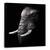 Tablou Canvas - Portret, Elefant, Animal, Intuneric, Trunchi, Experienta, Marime: 60 x 60 cm - - Roveli